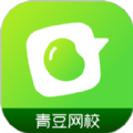 青豆网校软件